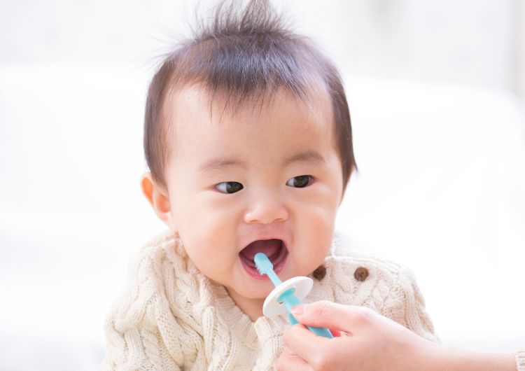 歯磨きする赤ちゃん